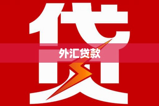 江陵外汇贷款