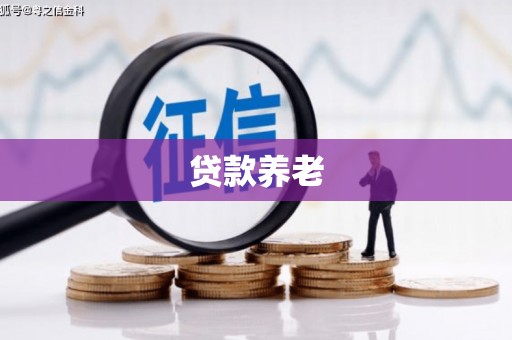 江陵贷款养老