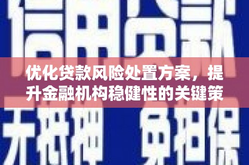 江陵优化贷款风险处置方案，提升金融机构稳健性的关键策略