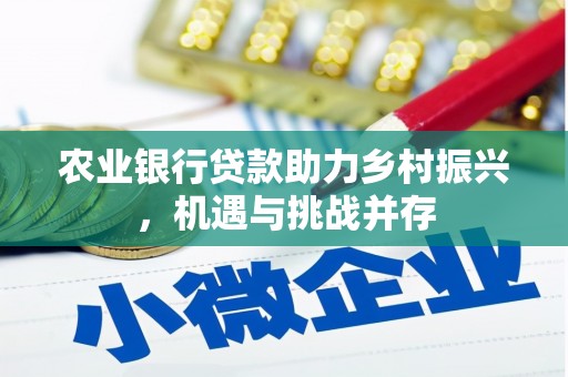 江陵农业银行贷款助力乡村振兴，机遇与挑战并存