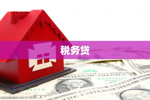 江陵税务贷