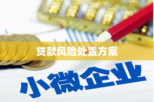 江陵贷款风险处置方案