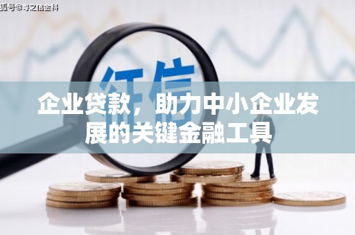江陵企业贷款，助力中小企业发展的关键金融工具
