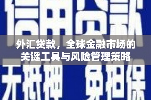 江陵外汇贷款，全球金融市场的关键工具与风险管理策略