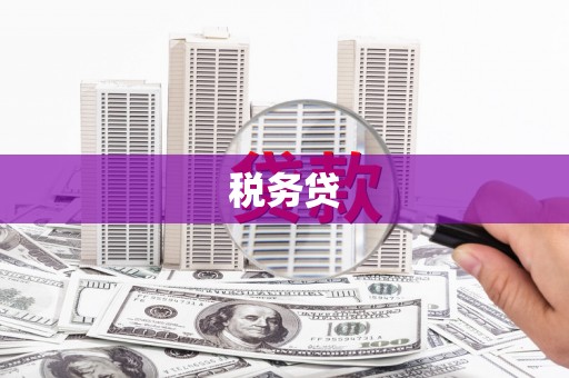 江陵税务贷