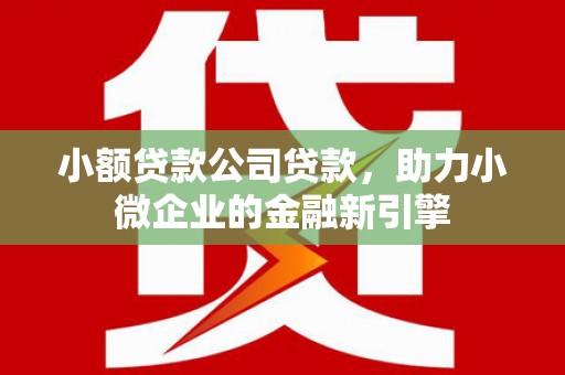 江陵小额贷款公司贷款，助力小微企业的金融新引擎