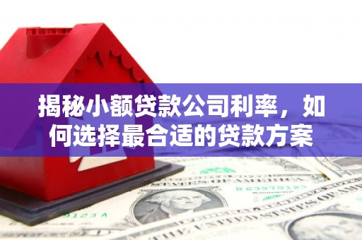 江陵揭秘小额贷款公司利率，如何选择最合适的贷款方案
