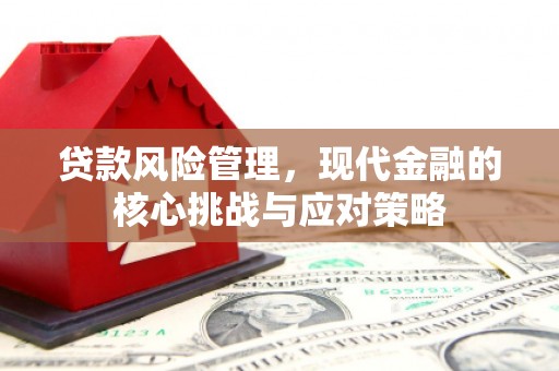 江陵贷款风险管理，现代金融的核心挑战与应对策略