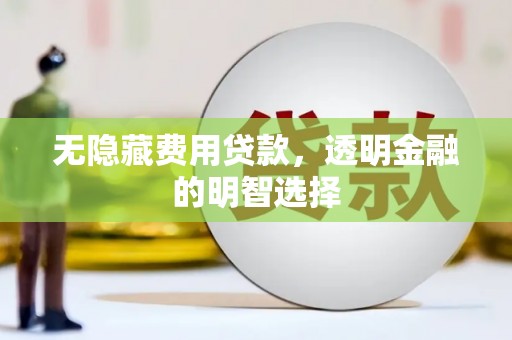 江陵无隐藏费用贷款，透明金融的明智选择