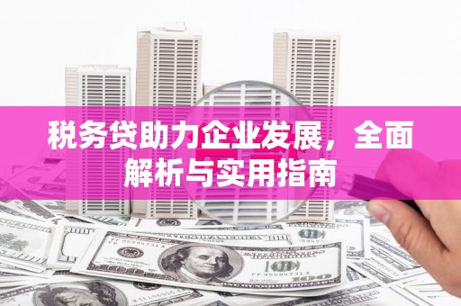 江陵税务贷助力企业发展，全面解析与实用指南
