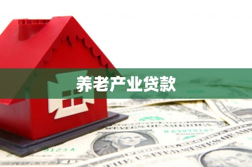 江陵养老产业贷款