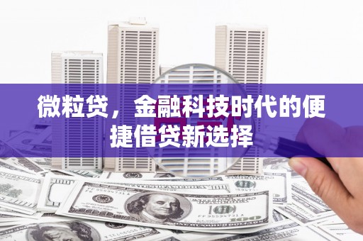 江陵微粒贷，金融科技时代的便捷借贷新选择