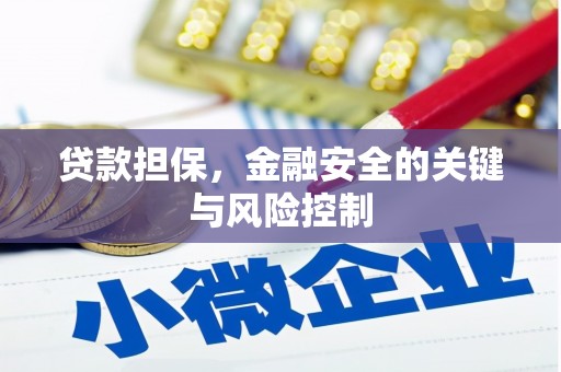江陵贷款担保，金融安全的关键与风险控制