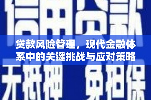 江陵贷款风险管理，现代金融体系中的关键挑战与应对策略