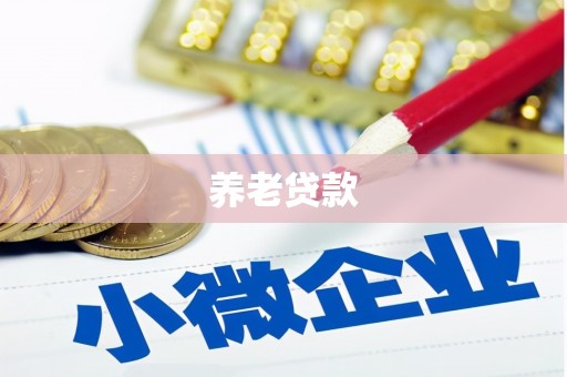 江陵养老贷款