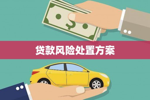 江陵贷款风险处置方案