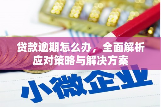 江陵贷款逾期怎么办，全面解析应对策略与解决方案