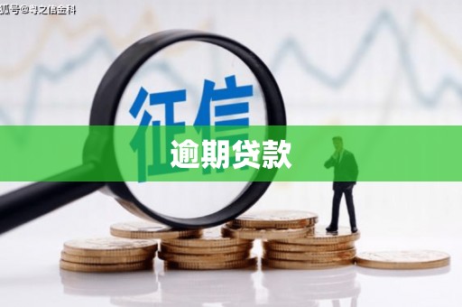 江陵逾期贷款